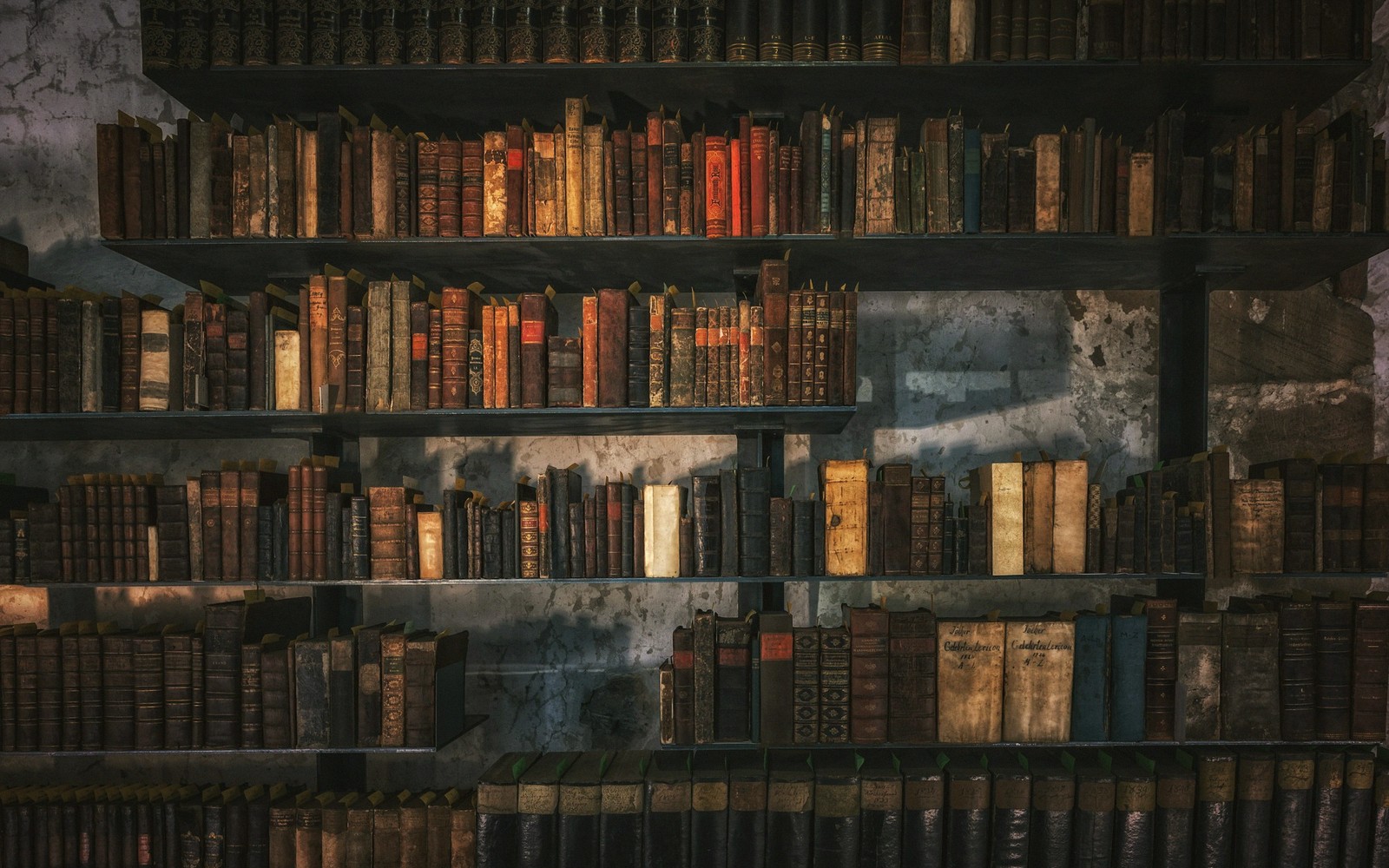 the end of a library shelf, spines out of focus